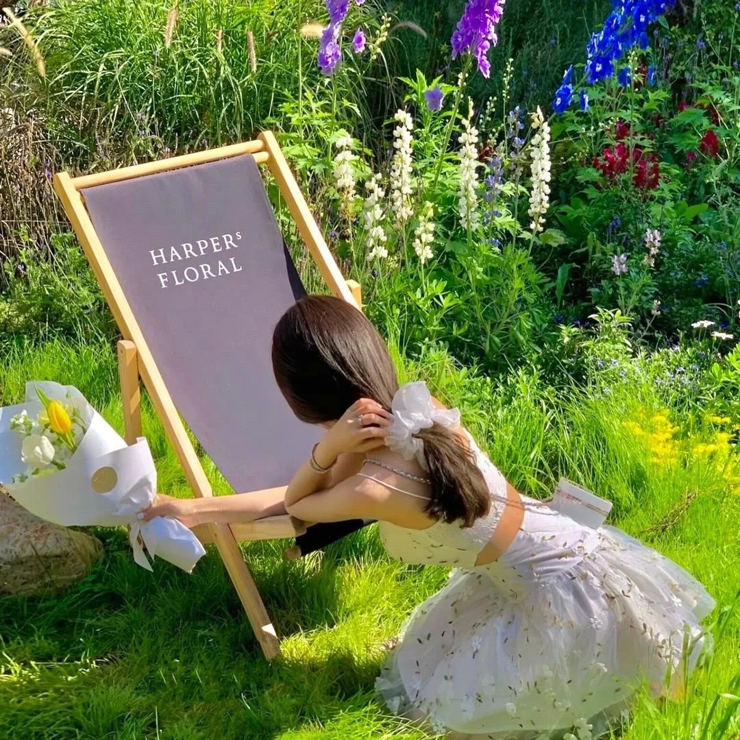 坐标 在线观看